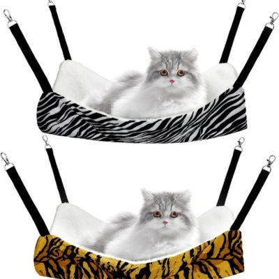 deux chatons persan chacun detendu dans son hamac chat