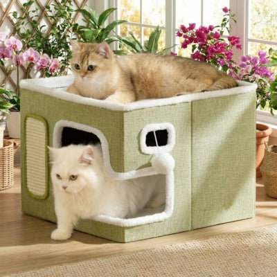 deux chatons profitant soleil dans panier chatons vert matcha