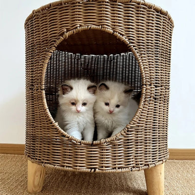 deux chatons relaxant dans panier à chat en osier
