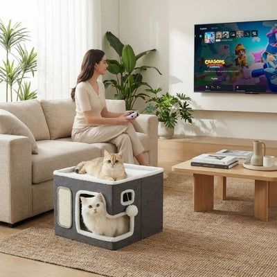 deux chaotns relaxant dans panier chatons maîtresse joue jeux vidéos