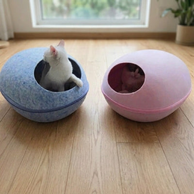 deux chats chacun lové dans cocon pour chat bleu et rose