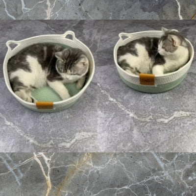 deux chats chacun relaxant dans son panier osier chat 