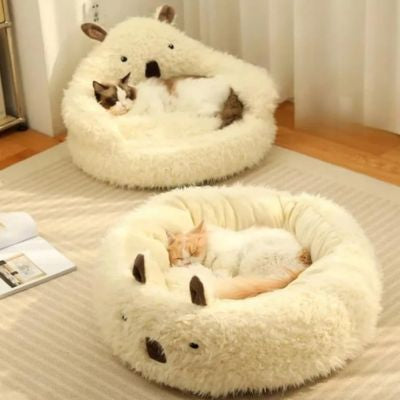 deux chats-dorment chacun dans un de leur coussins chat