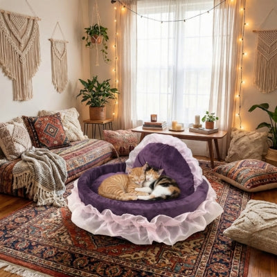 deux chats dorment enlacés couffin chaton