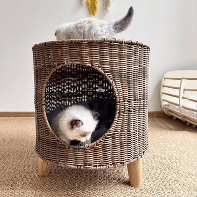 deux chats jouant dans panier à chat en osier