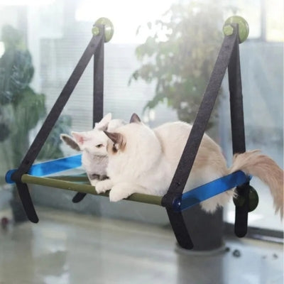 deux chats jouant ensemble sur hamac chat fenêtre