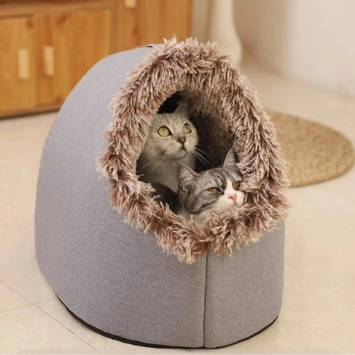 deux chats lovés dans niche a chat grise