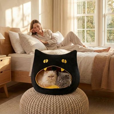 deux chats lovés dans niche à chat maîtresse ravie les regardant