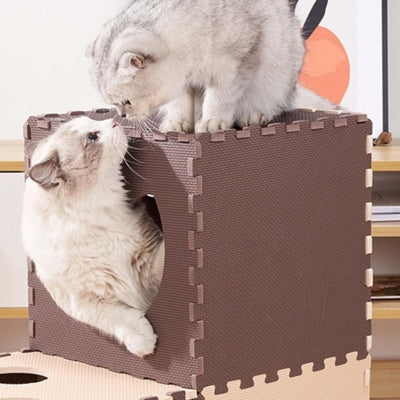 deux chats s'amusent dans maison pour chaton