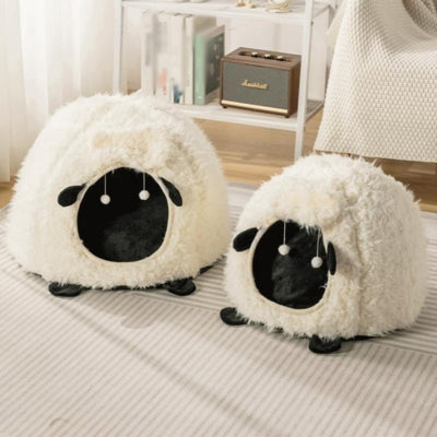 deux grandeurs maison chaton sur moquette dans salon