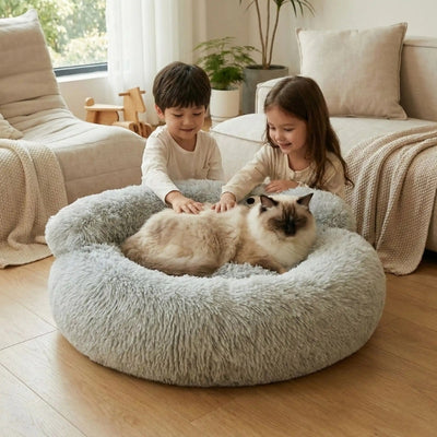 enfants caressant ragdoll enroulé dans panier pour grand chat 