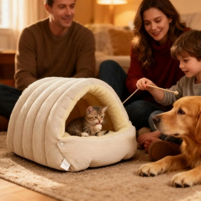 famille autour maison pour chats chaton jouant avec jeune garçon