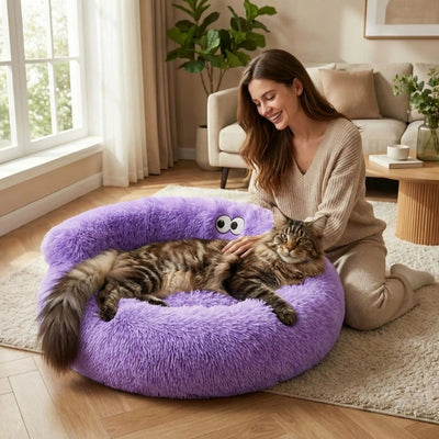 femme caressant maine coon allongé dans panier pour grand chat