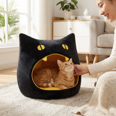 femme flattant chaton dans sa niche à chat