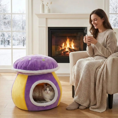 femme regardant affectueusement ragdoll blotti dans nid chaton