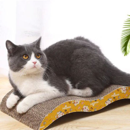 griffoir chat chat en detente dessus