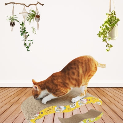 griffoir chat chat griffant