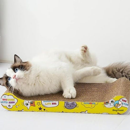 griffoir ragdoll se grate dessus