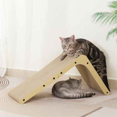 griffoire american shorthair dessus autre chat dessous