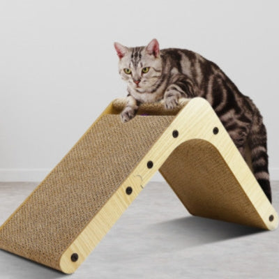 griffoire american shorthair dessus