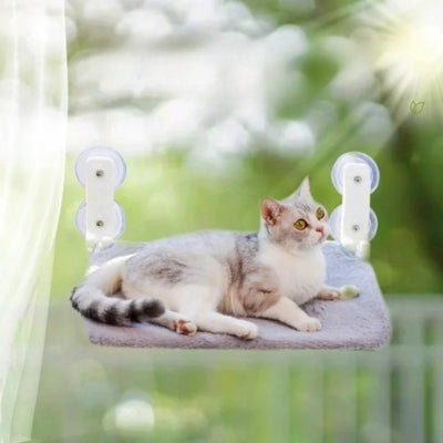 hamac à chat beignant rayons soleil chat en profitant 