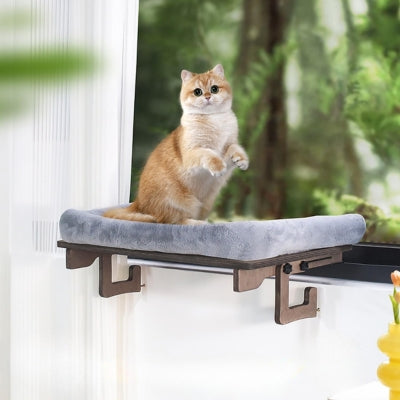 hamac à chat chat se tient sur ses pattes dessus