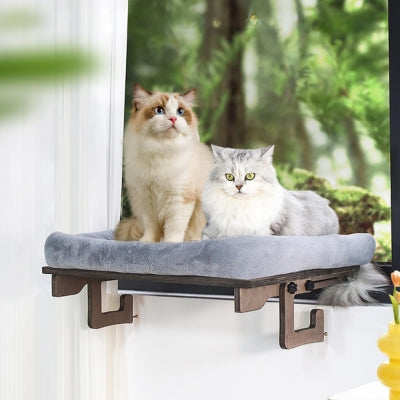 hamac à chat deux chats dessus en relaxation côte à côte