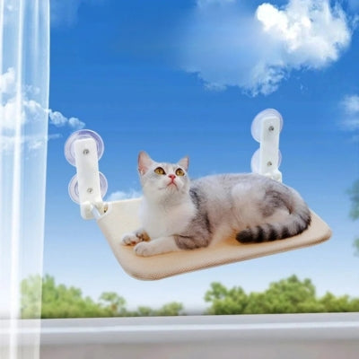 hamac à chat fixé fenêtre chaton relaxant dessus