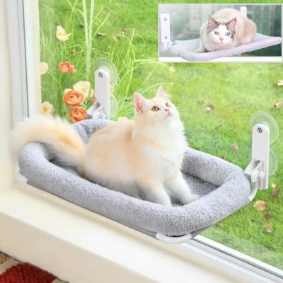 hamac à chat peluche grise ragdoll observant dessus