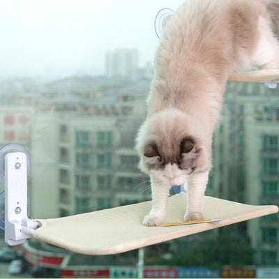 hamac à chat ragdoll sautant d'un hamac à un autre