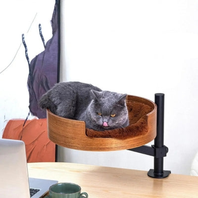 hamac chat chartreux detendu dessus