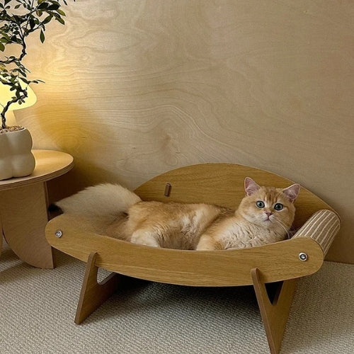 hamac chat chat detendu confortablement dessus