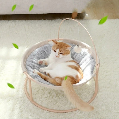 hamac chat chat detendu paisiblement dessus