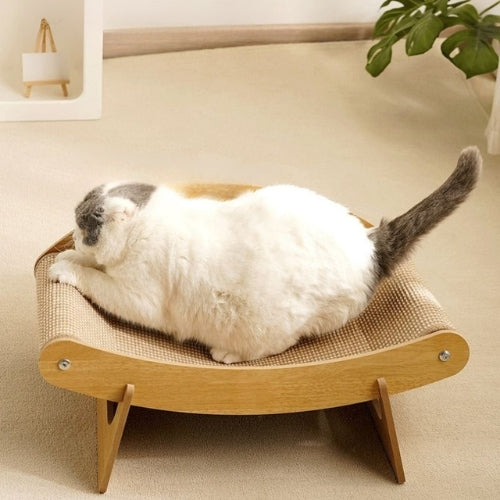 hamac chat chat griffant dessus