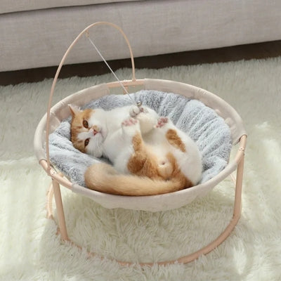 hamac chat chat  joue avec balle suspendue