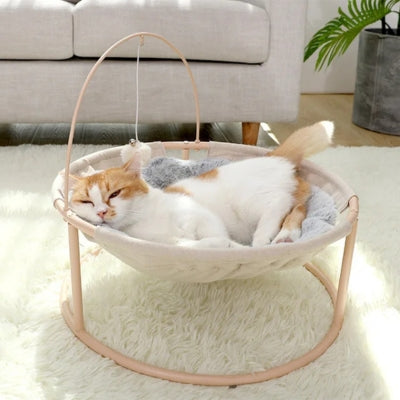 hamac chat chat relaxant paisiblement dessus