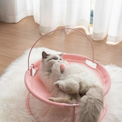 hamac chat chat s'amuse avec balle suspendue