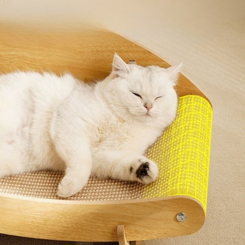 hamac chat chat somnolant dessus