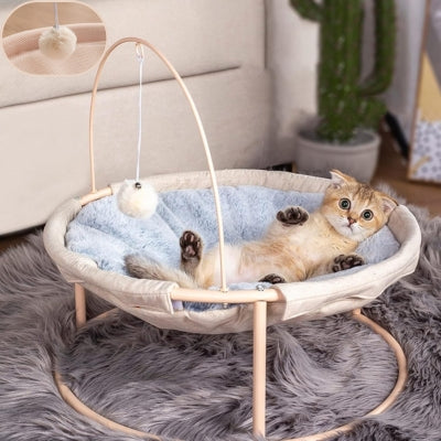 hamac chat chaton couché sur son dos dessus