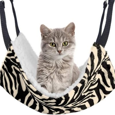 hamac chat chaton persan observant son territoire dedans