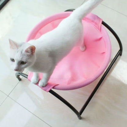 hamac chat cocon bouclier rose chaton debout dessus