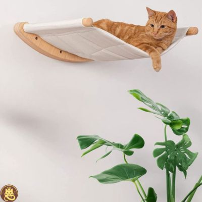 hamac chat comfyzénith fixé au mur chat relaxant paisiblement dessus