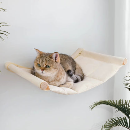 hamac chat comfyzenith hat se repose dessus