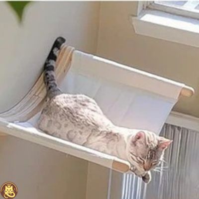 hamac chat comfyzénith fixé au mur chat somnolant dessus