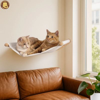 hamac chat comfyzénith fixé au mur deux chats dessus salon