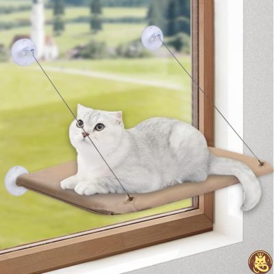 hamac chat fenetre aérius félin beige chat se repose dessus