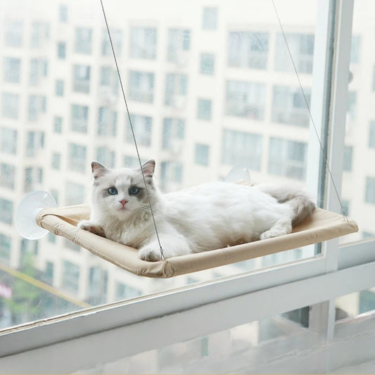 hamac chat fenetre aérius félin chat se repose dessus
