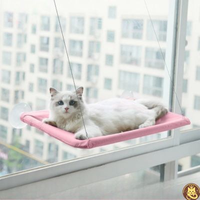hamac chat fenetre aérius félin rose