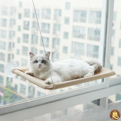 hamac chat fenetre aérius félin variante beige 
