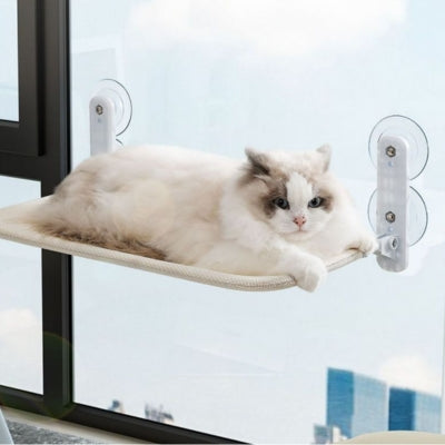 hamac chat fenêtre beige chat detendu confortablement dessus